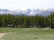 Trail ride in the Bighorn National Forest.