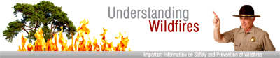 Understanding Wildfires