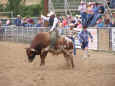 rodeo-jcfr-2005-09.jpg (61040 bytes)