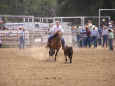 rodeo-jcfr-2005-34.jpg (60705 bytes)