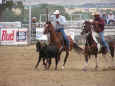 rodeo-jcfr-2005-43.jpg (61410 bytes)