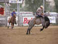 rodeo-jcfr-2005-51.jpg (55501 bytes)