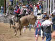 rodeo-jcfr-2005-54.jpg (73908 bytes)